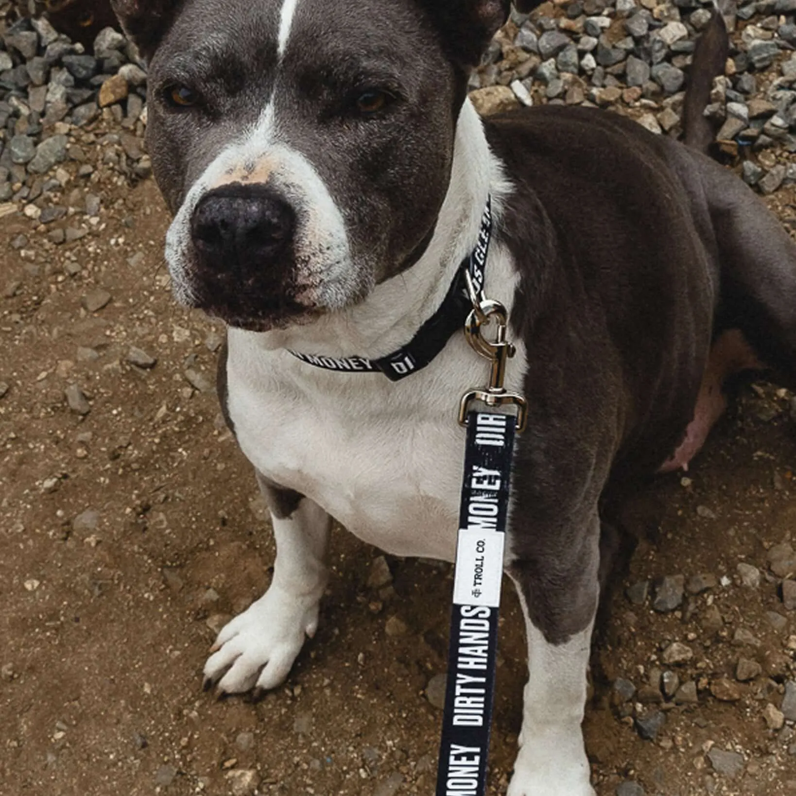 DHCM Heavy Duty Dog Leash