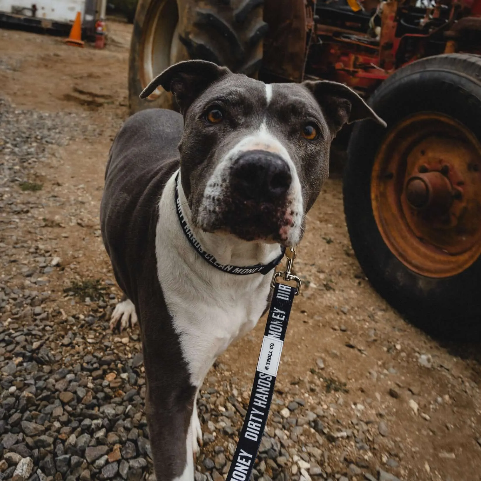 DHCM Heavy Duty Dog Leash
