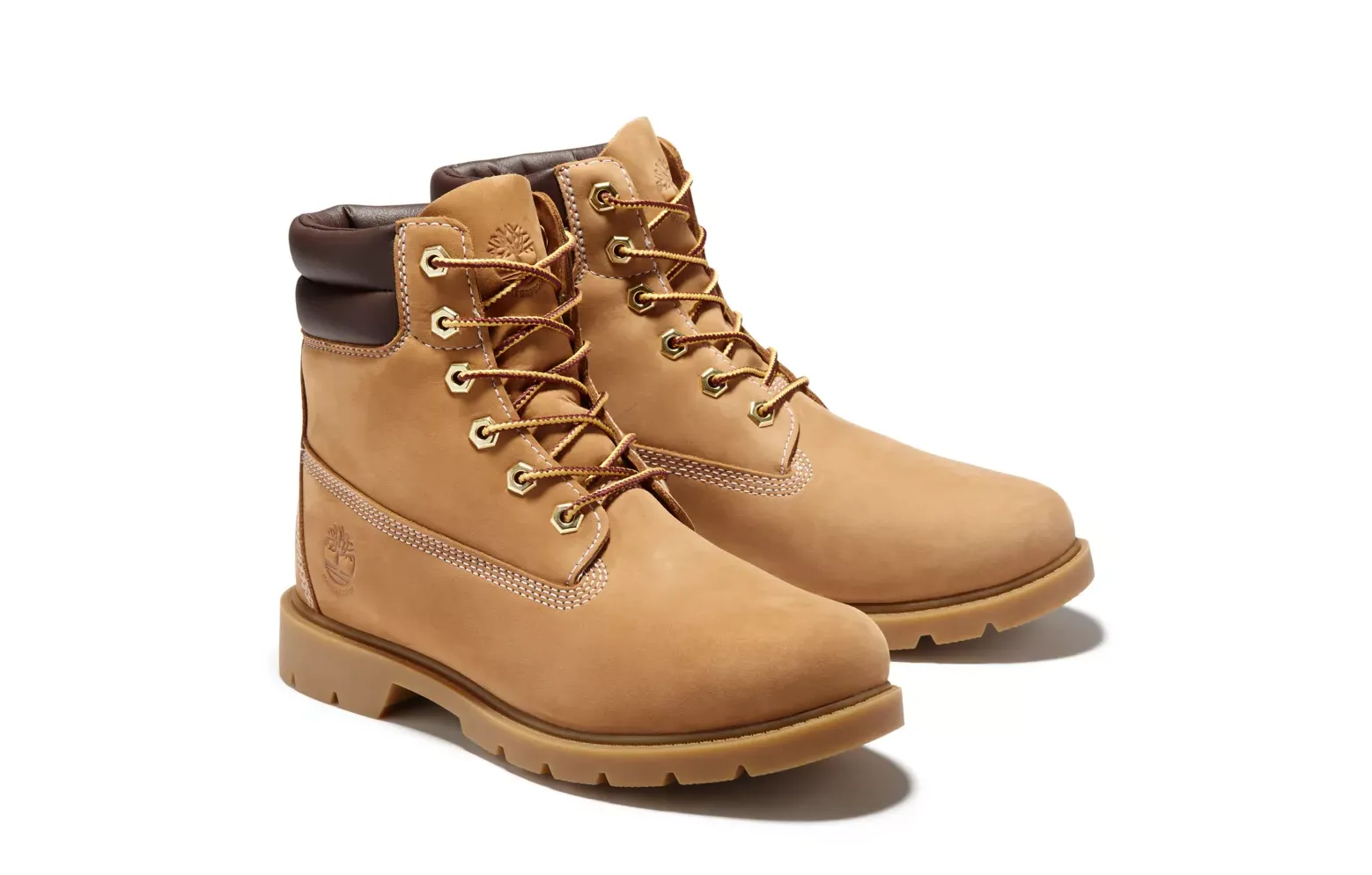 TIMBERLAND TREE Women's Linden Woods 6 inch Waterproof Boot TB0A161G231