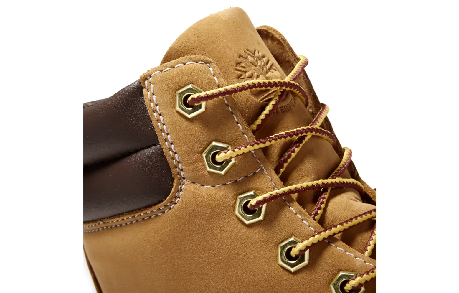 TIMBERLAND TREE Women's Linden Woods 6 inch Waterproof Boot TB0A161G231