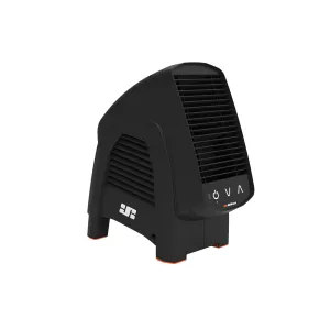 Trainer Fan